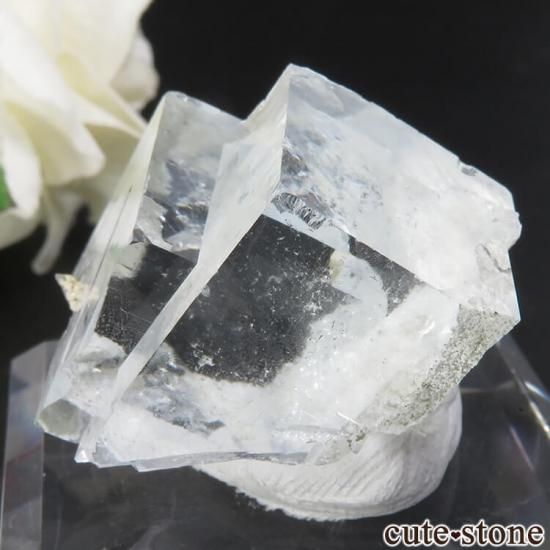  ʡʻ 饤ȥ꡼ե饤Ȥθ No.4μ̿1 cute stone