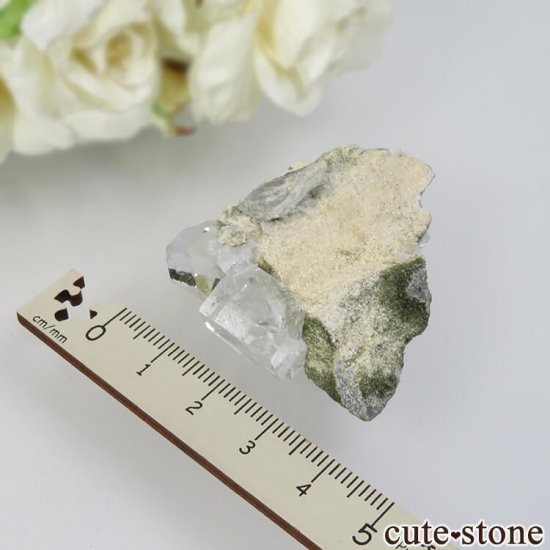  ʡʻ 饤ȥ꡼ե饤ȡ륵Ȥθ No.6μ̿2 cute stone