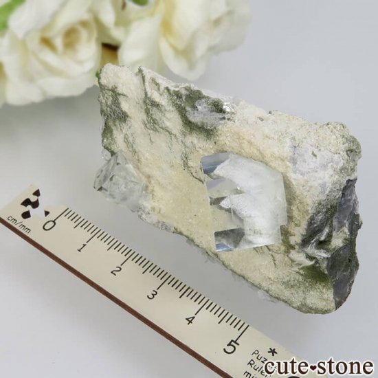  ʡʻ 饤ȥ꡼ե饤ȡ륵Ȥθ No.8μ̿2 cute stone