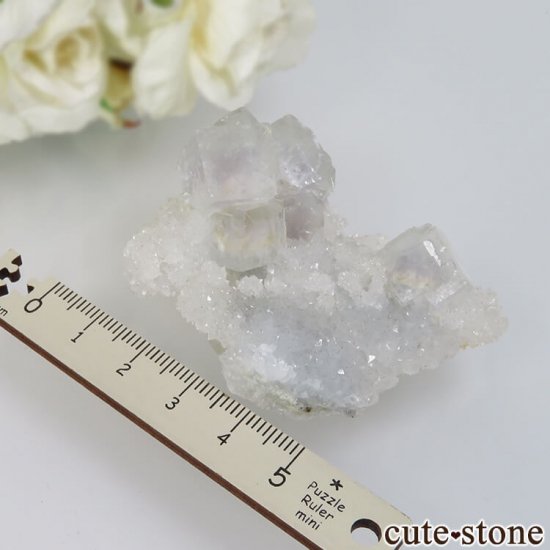  ʡʻ 饤ȥ꡼ߥ֥롼ե饤Ȥθ No.9μ̿2 cute stone