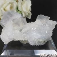  ʡʻ 饤ȥ꡼ߥ֥롼ե饤Ȥθ No.9β