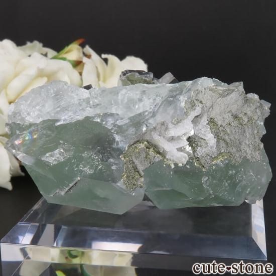  ʡʻ ꡼ߥ饤ȥ֥롼ե饤Ȥθ No.10μ̿0 cute stone