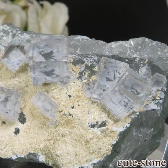  ʡʻ ꡼ߥ饤ȥ֥롼ե饤Ȥθ No.10μ̿1 cute stone