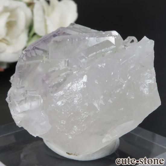  ʡʻ 饤ȥ꡼ե饤Ȥθ No.11μ̿1 cute stone