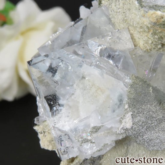  ʡʻ 饤ȥ꡼ե饤ȡ륵Ȥθ No.13μ̿3 cute stone