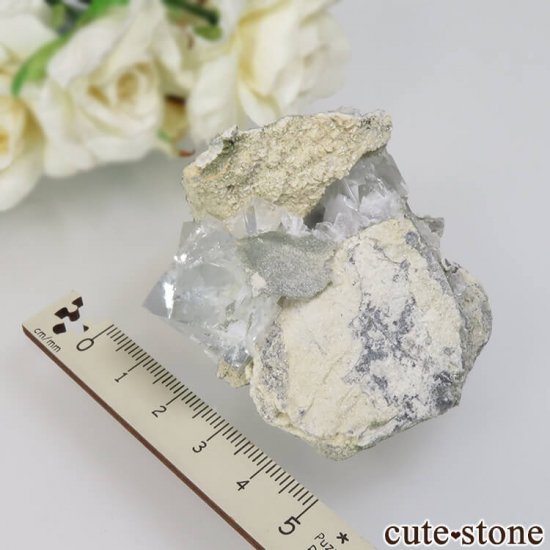  ʡʻ 饤ȥ꡼ե饤ȡ륵Ȥθ No.13μ̿4 cute stone