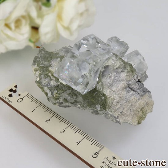  ʡʻ 饤ȥ꡼ե饤Ȥθ No.14μ̿5 cute stone