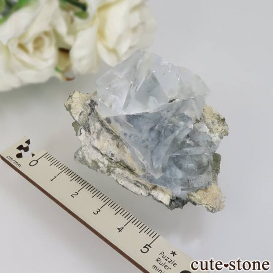  ʡʻ 饤ȥ꡼ߥ֥롼ե饤Ȥθ No.15μ̿3 cute stone