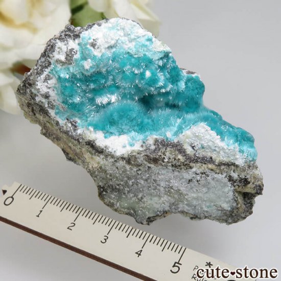 ꥫ 79 Mine 륵Ȥդ  No.1μ̿3 cute stone