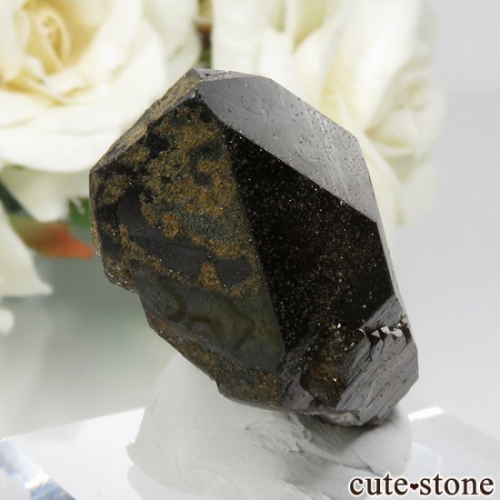 츩 󥴡 - ꥪ(徽)θ No.2μ̿0 cute stone