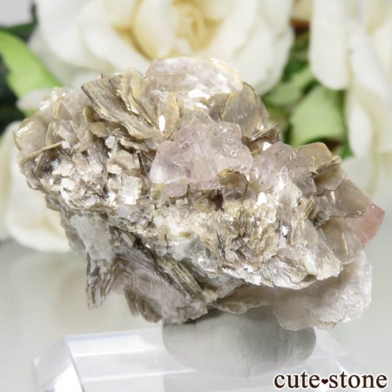ѥ Chumar Bakhoor ԥ󥯥ե饤ȡʥȡ⥹ХȤθ No.44μ̿2 cute stone