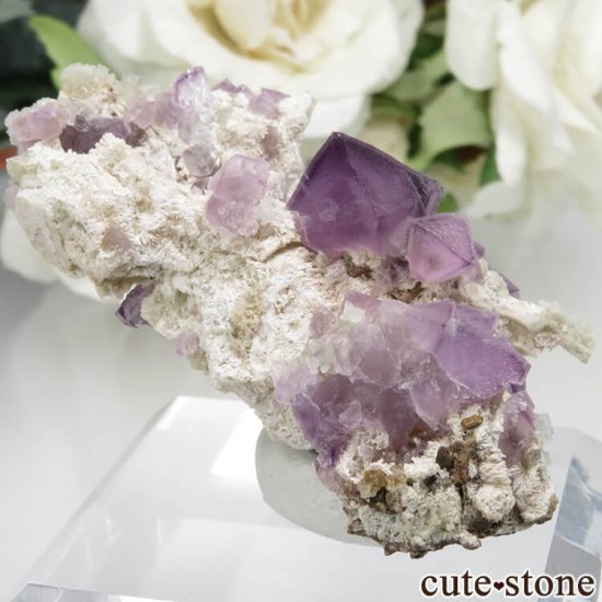 ˥塼ᥭ Mex-Tex Mine ѡץե饤Ȥθ No.1μ̿0 cute stone
