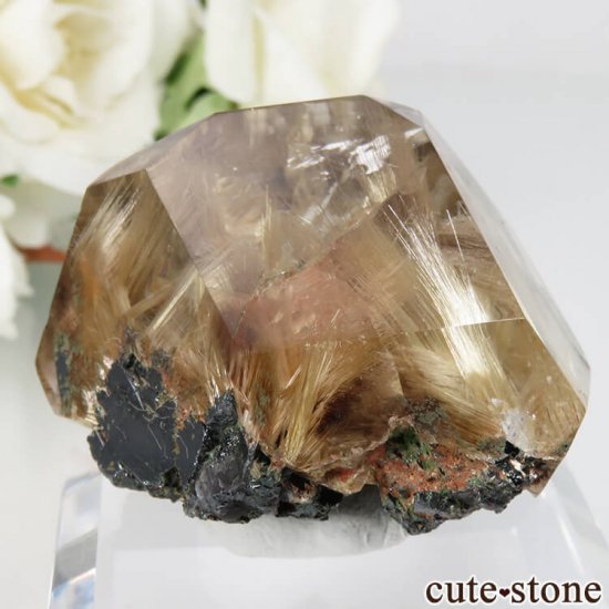 ֥饸 Х ۥʥ륤󥯥ġˤʪʸСݥåNo.2μ̿0 cute stone
