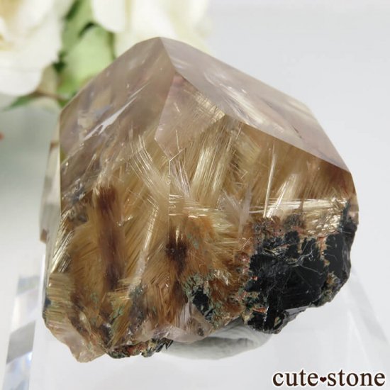 ֥饸 Х ۥʥ륤󥯥ġˤʪʸСݥåNo.2μ̿1 cute stone