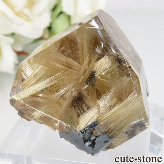 ֥饸 Х ۥʥ륤󥯥ġˤʪʸСݥåNo.2μ̿3 cute stone