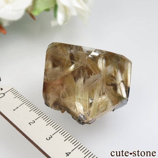 ֥饸 Х ۥʥ륤󥯥ġˤʪʸСݥåNo.2μ̿5 cute stone