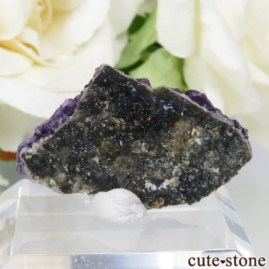 ʥ ѡץե饤Ȥθ No.1μ̿0 cute stone