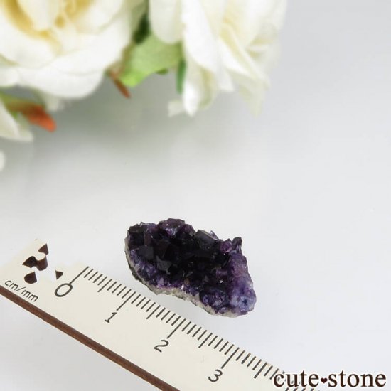 ʥ ѡץե饤Ȥθ No.1μ̿1 cute stone