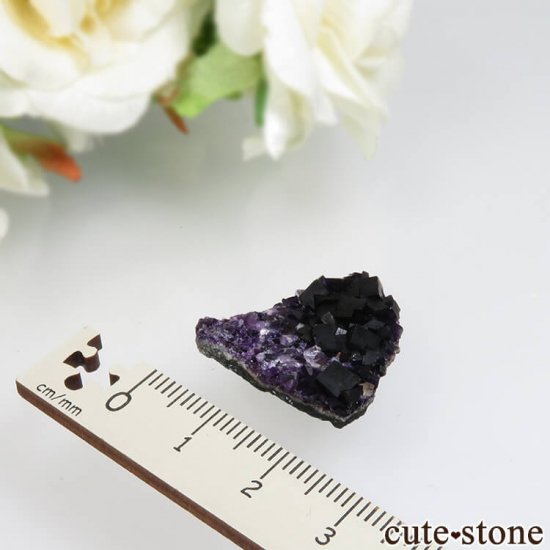 ʥ ѡץե饤ȡĤθ No.2μ̿1 cute stone