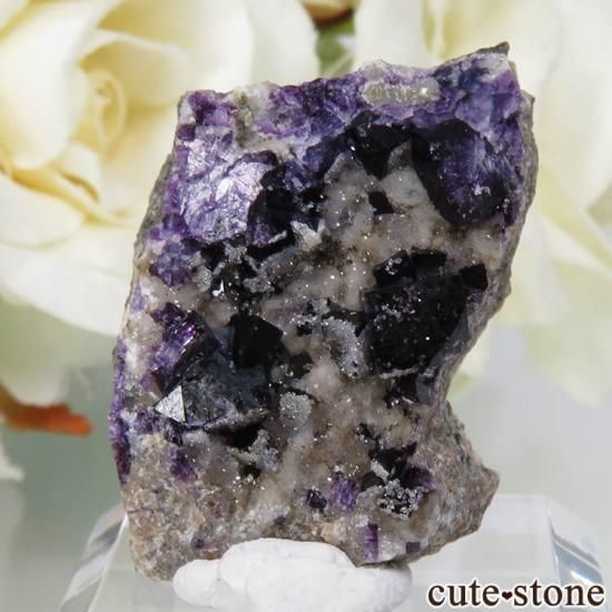 パープルフローライト原石 バイカラー✨ パープル フローライト 結晶 蛍石 ラフストーン