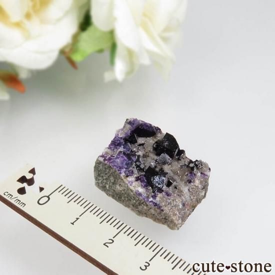 ʥ ѡץե饤ȡĤθ No.3μ̿1 cute stone