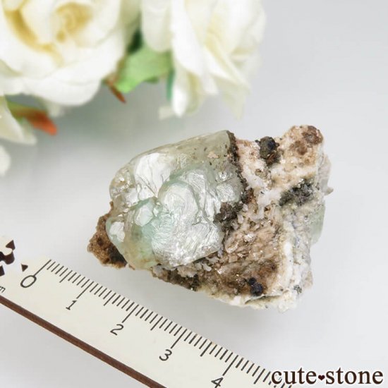 ᥭ Naica Mine ꡼ե饤Ȥθ No.1μ̿2 cute stone