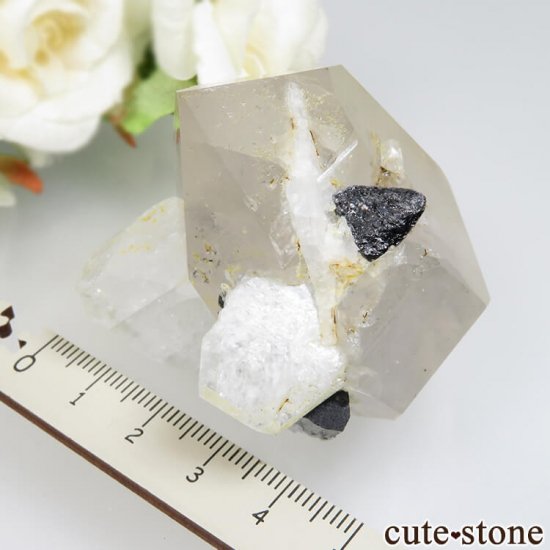 ѥ ꡼󥭥åץȥޥġХ No.8μ̿4 cute stone