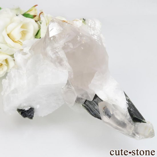 ѥ ꡼󥭥åץȥޥġХ No.9μ̿0 cute stone