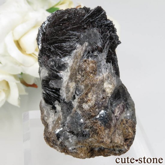 󥴥뻺 إޥȡĤդ뾽ʸ) No.1μ̿1 cute stone