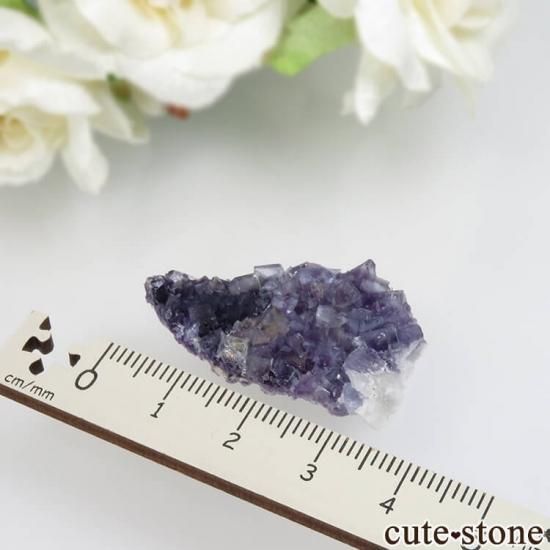 ե Saint-Peray ѡץ֥롼ե饤Ȥθ No.7μ̿1 cute stone