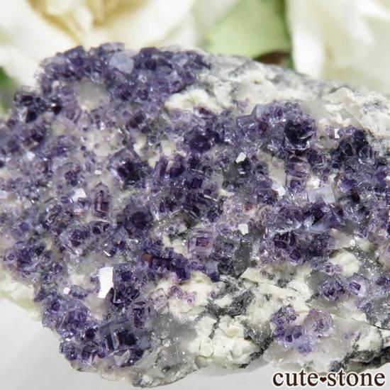 ե Saint-Peray ѡץ֥롼ե饤Ȥθ No.10μ̿1 cute stone