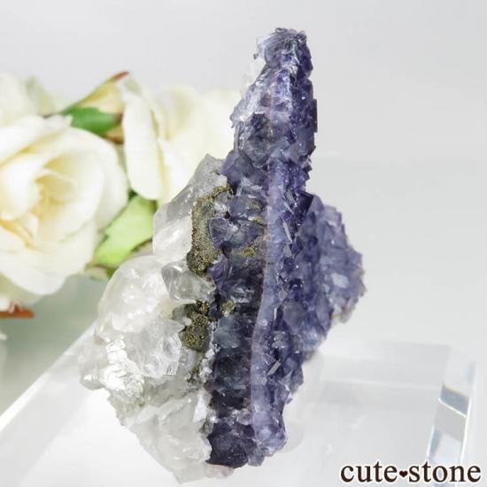 ե Saint-Peray ѡץ֥롼ե饤ȡ륵ȡХ饤Ȥθ No.16μ̿0 cute stone