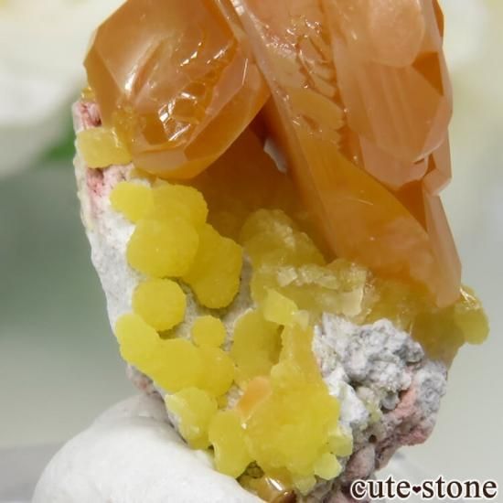 ウルフェナイト ミメタイト 共生標本 メキシコ産 / 原石 天然石