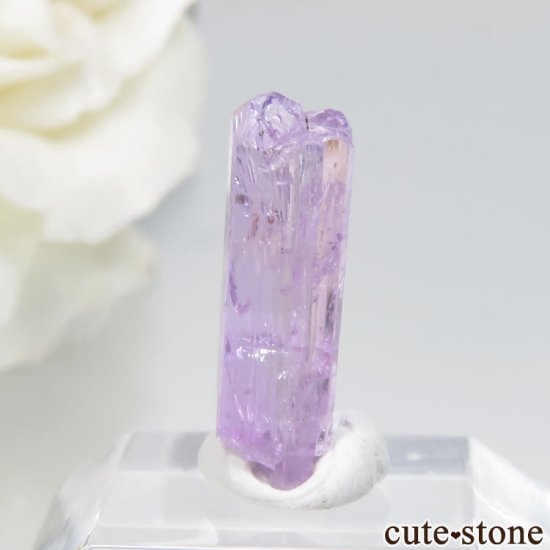 󥶥˥ ˻ ѡץԥ󥯥Ȥθ No.33μ̿0 cute stone