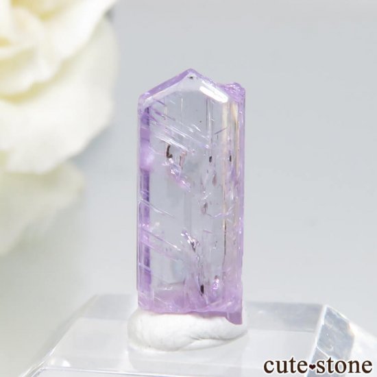 󥶥˥ ˻ ѡץԥ󥯥Ȥθ No.33μ̿1 cute stone