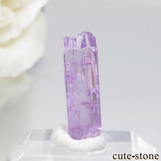 󥶥˥ ˻ ѡץԥ󥯥Ȥθ No.33μ̿2 cute stone