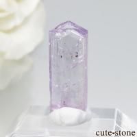 󥶥˥ ˻ ѡץԥ󥯥Ȥθ No.33β