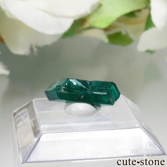 ʥߥӥ Kaokoveld PlateauΥץơθ No.1μ̿0 cute stone