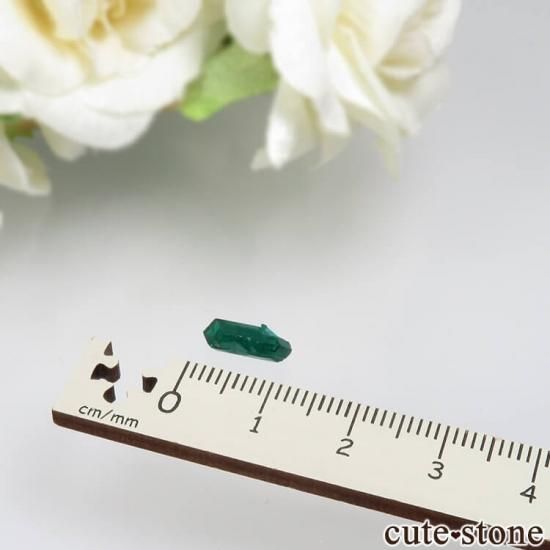 ʥߥӥ Kaokoveld PlateauΥץơθ No.1μ̿1 cute stone