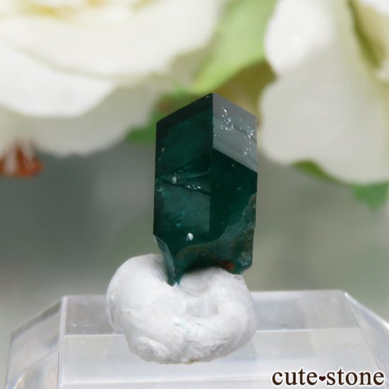 ʥߥӥ Kaokoveld PlateauΥץơθ No.3μ̿0 cute stone