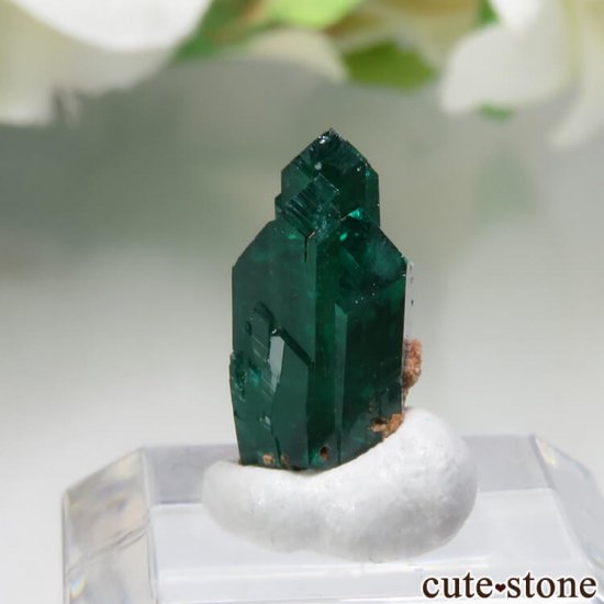 ナミビア Kaokoveld Plateau産のダイオプテーズの原石 No.4 - cute stone -