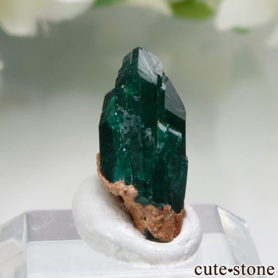 ʥߥӥ Kaokoveld PlateauΥץơθ No.4μ̿0 cute stone