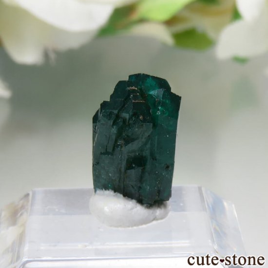 ʥߥӥ Kaokoveld PlateauΥץơθ No.6μ̿0 cute stone