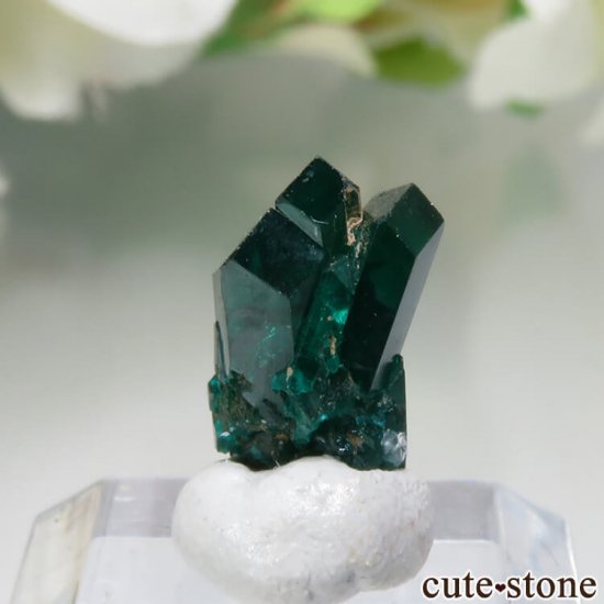 ʥߥӥ Kaokoveld PlateauΥץơθ No.7μ̿0 cute stone