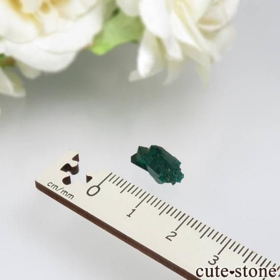 ʥߥӥ Kaokoveld PlateauΥץơθ No.7μ̿1 cute stone