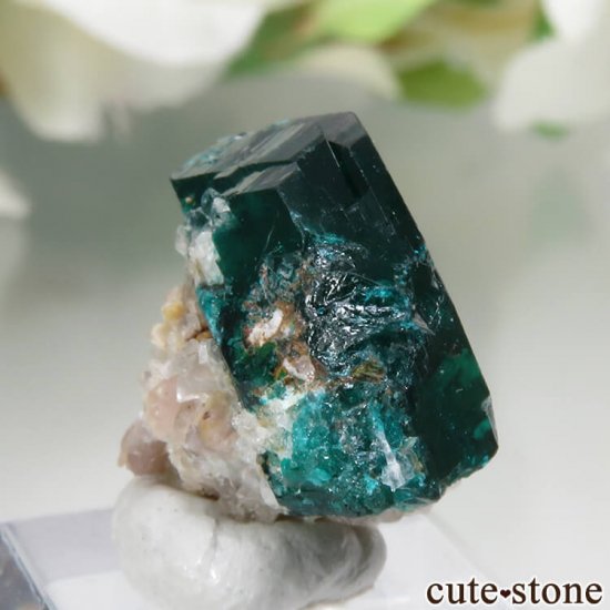 ʥߥӥ Kaokoveld PlateauΥץơθ No.9μ̿0 cute stone