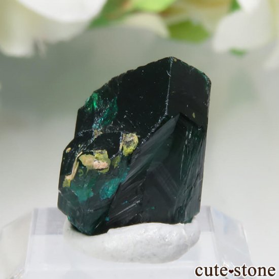 ʥߥӥ Kaokoveld PlateauΥץơθ No.10μ̿0 cute stone