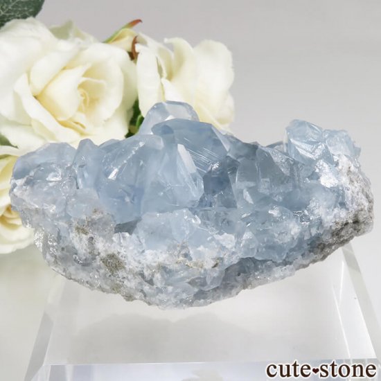 ޥ뻺 쥹ȤθСʥ饹No.13μ̿0 cute stone