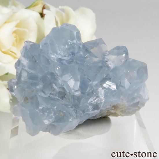ޥ뻺 쥹ȤθСʥ饹No.14μ̿0 cute stone