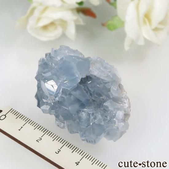 ޥ뻺 쥹ȤθСʥ饹No.14μ̿1 cute stone